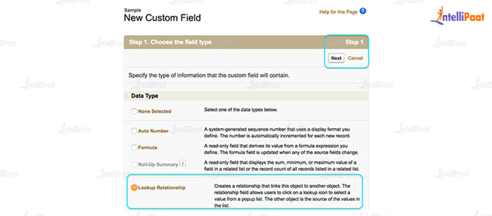 New Custom Field