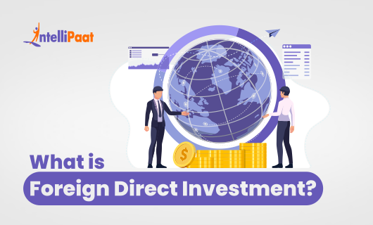 What is Foreign Direct Investment Small