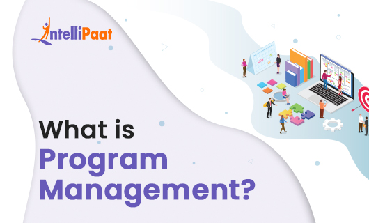 What is Program Management small