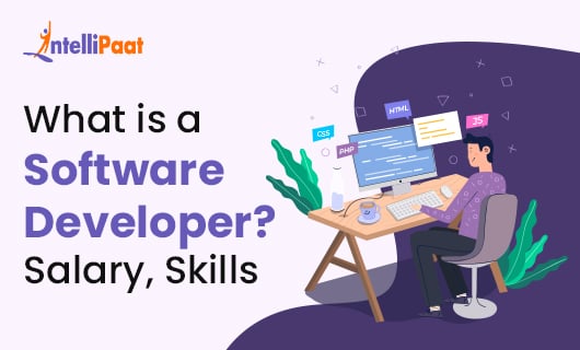 What is a Software Developer Salary Skills small