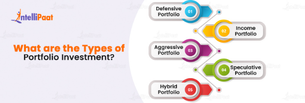 What are the Types of Portfolio Investment?