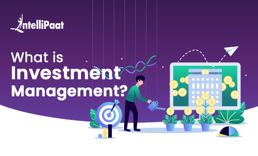 What is Investment Managementsmall