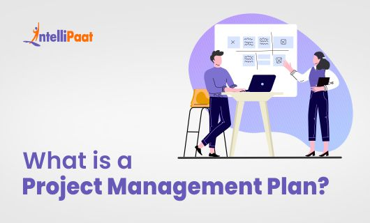 What is a Project Management Plan Category Image