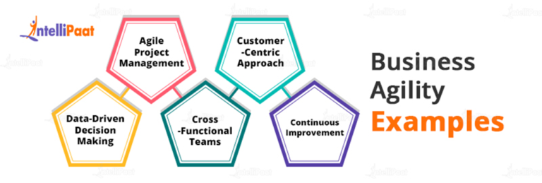 What is Business Agility? Examples & Why Is It Used