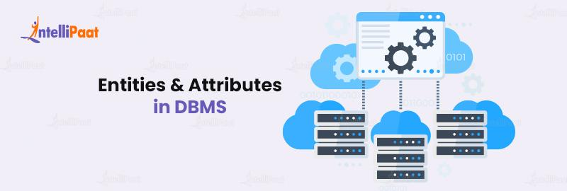 Entities and Attributes in DBMS
