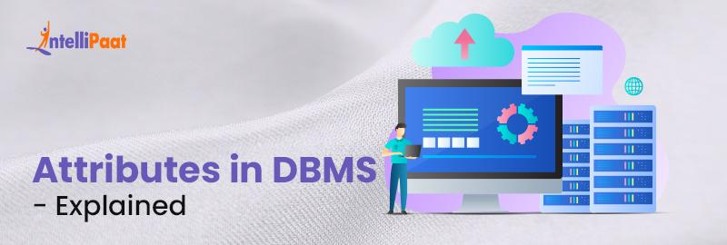 Attributes in DBMS - Explained