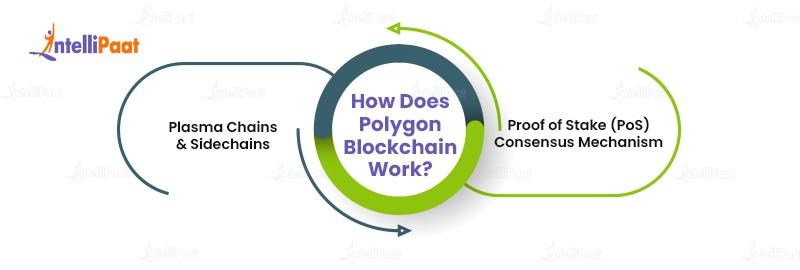 How does Polygon Blockchain Work