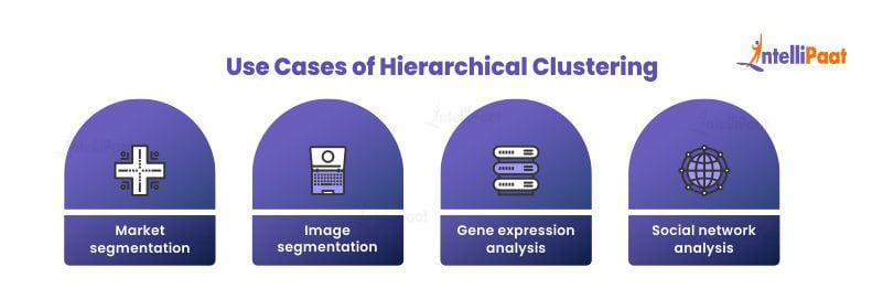 Use Cases of Hierarchical Clustering