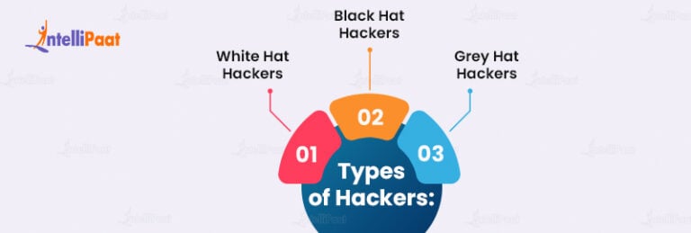 Ethical Hacking - What Is, Types, Phases, And Importance