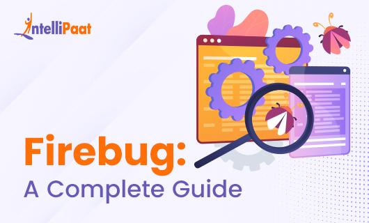 Firebug A Complete Guide Small