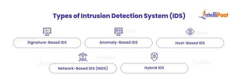 Intrusion Detection System (IDS) - Working, Components and Benefits