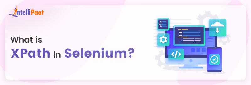 xpath-in-selenium-its-types-and-usage