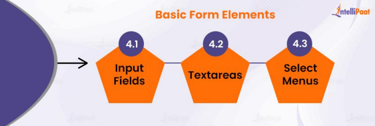 Basic Form Elements