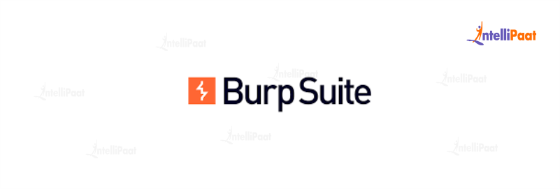 Burp Suite