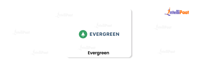  Evergreen