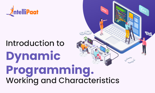 Introduction to Dynamic Programming Working and Characteristics small