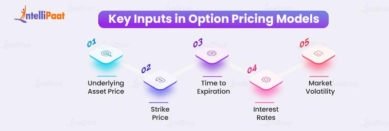 Key Inputs in Option Pricing Models