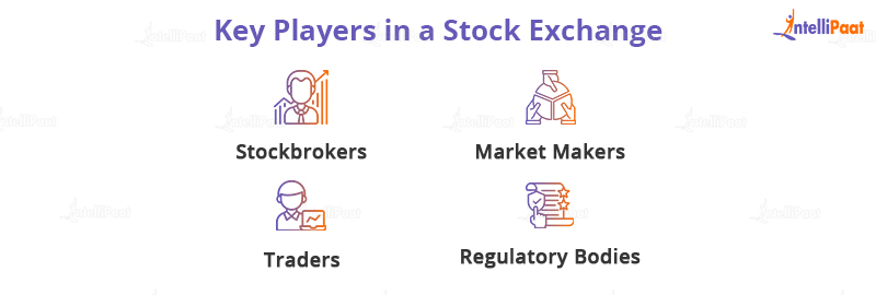 Key Players in a Stock Exchange