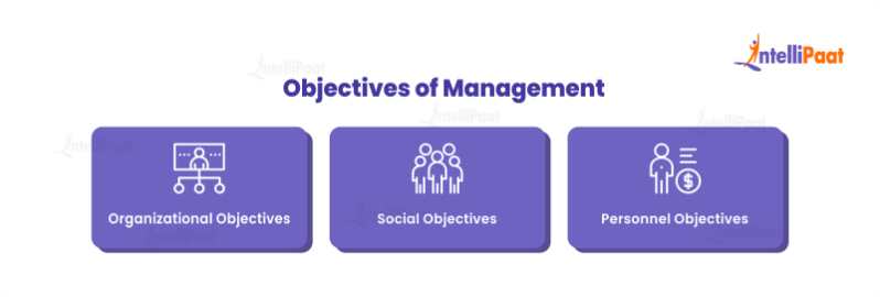 What is Management: Definition, Functions and Levels