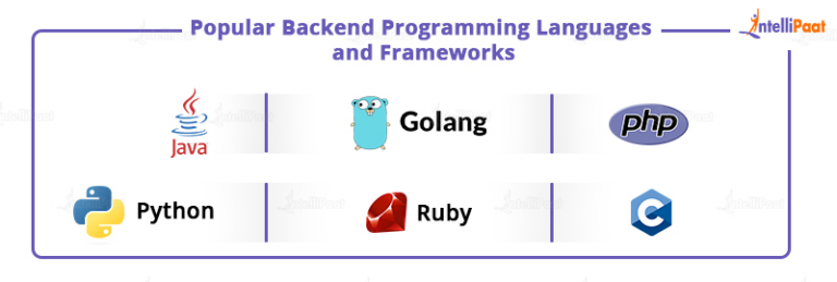 What is Backend Development? Definition, Skills & More
