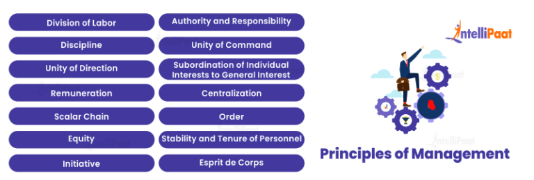 What is Management: Definition, Functions and Levels