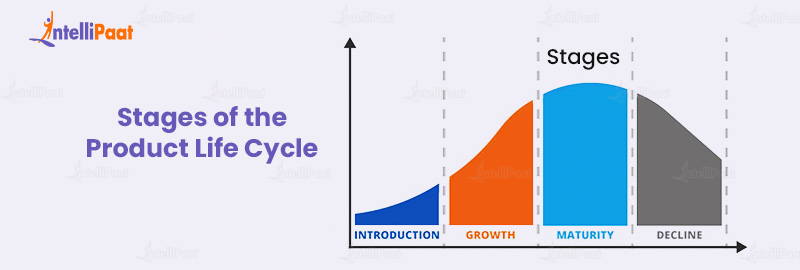 Stages of the Product Life Cycle