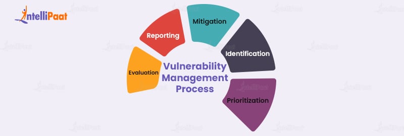 Vulnerability Management Process