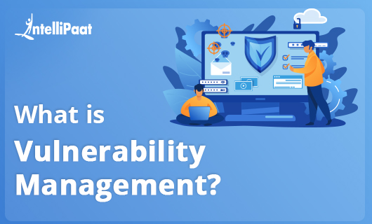 What is Vulnerability ManagementSmall