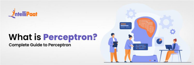 What is a Perceptron A Complete Guide to Perceptron