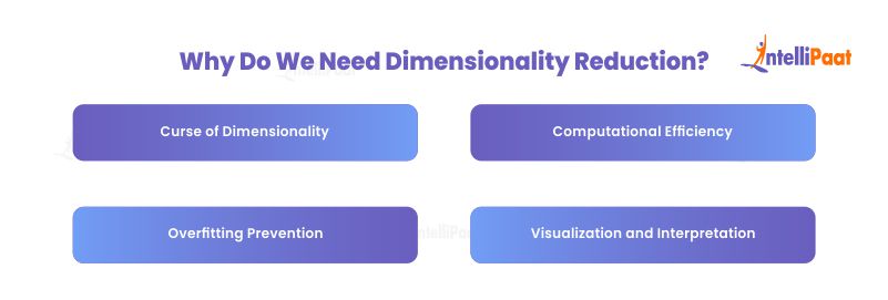 Why Do We Need Dimensionality Reduction?