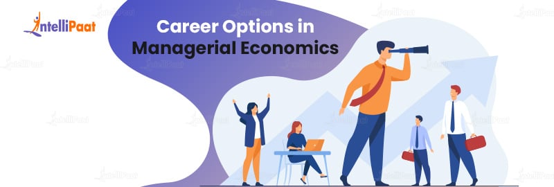 Career Options in Managerial Economics