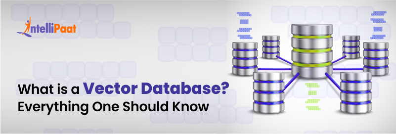 What is a Vector Database? Everything One Should Know