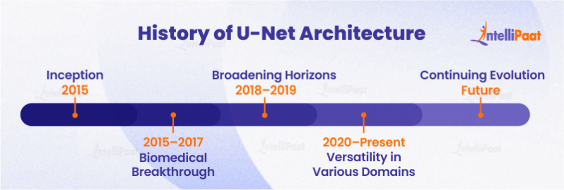 U Net Architecture: Explained | Intellipaat