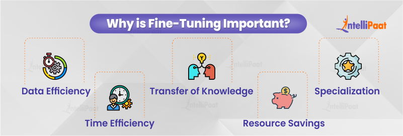 Why is Fine-Tuning Important?