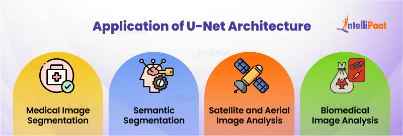 Application of U-Net Architecture