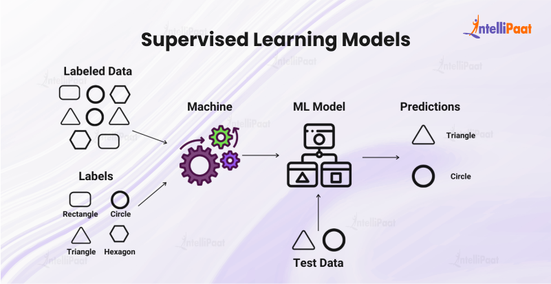 Supervised Learning Models