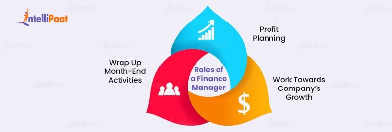 Roles and Responsibilities of a Finance Manager