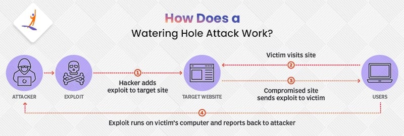 How Does a Watering Hole Attack Work?