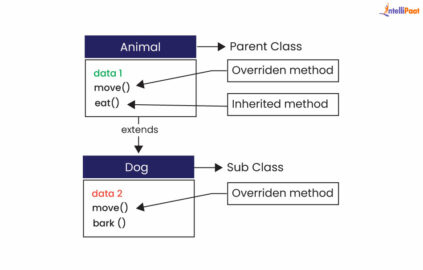 Polymorphism in Python - Define, Types, Examples, and More