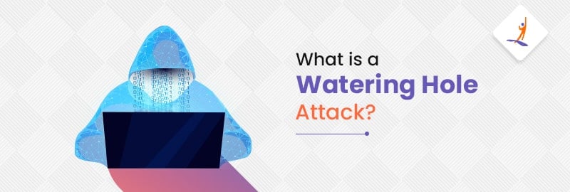 What is a Watering Hole Attack?