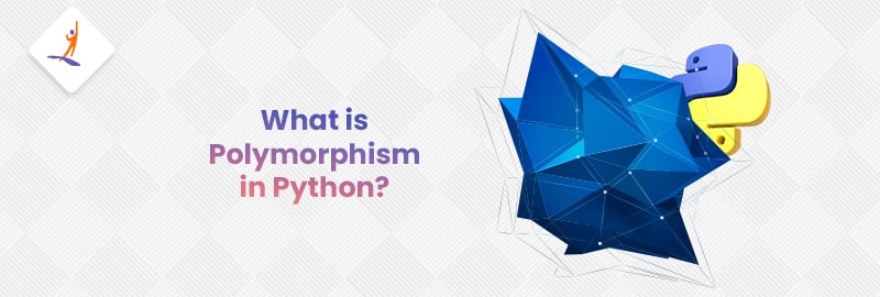 What is Polymorphism in Python?