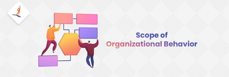 Scope of Organizational Behavior