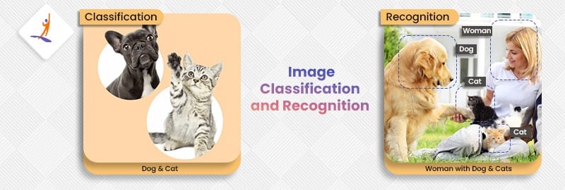 Image Classification and Recognition