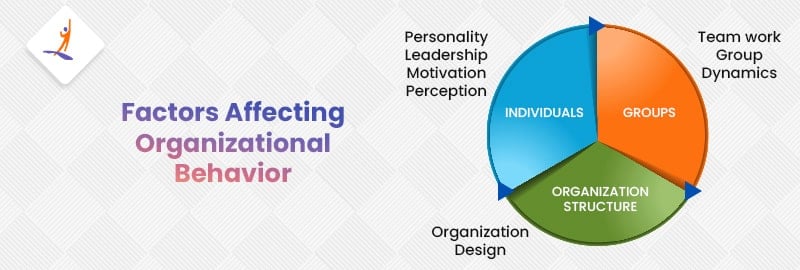 Factors Affecting Organizational Behavior