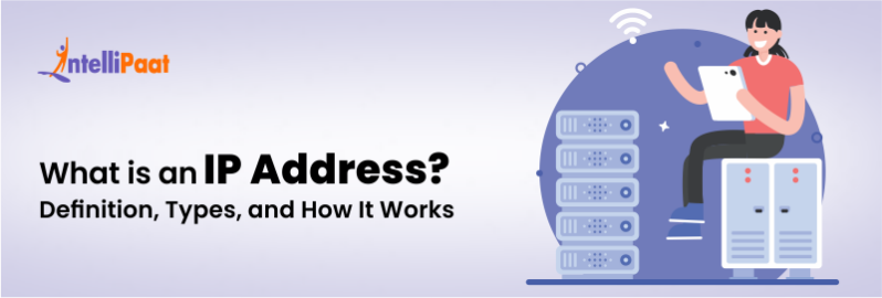 What is an IP Address? Definition, Types, and How It Works