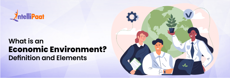 What is an Economic Environment of Business? Definition and Elements