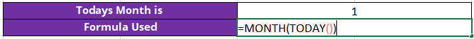 TODAY() and Month() function