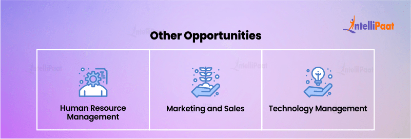 Other opportunities