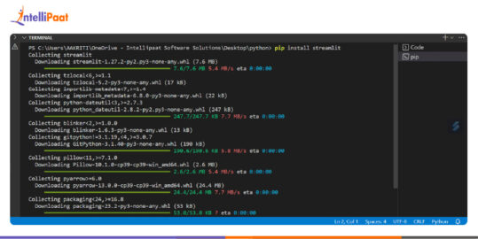 Streamlit Python: Installation, Usage, and Applications