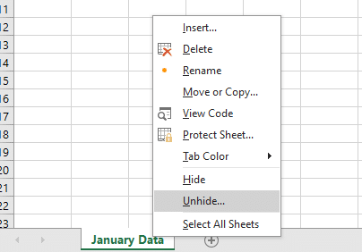 visible worksheet tab